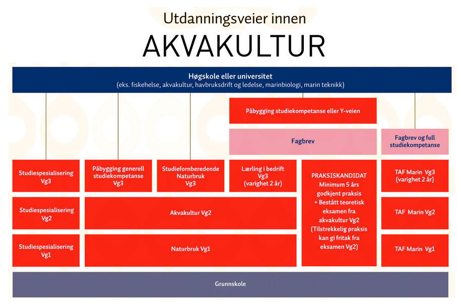 plansje-akvakultur-utdanning