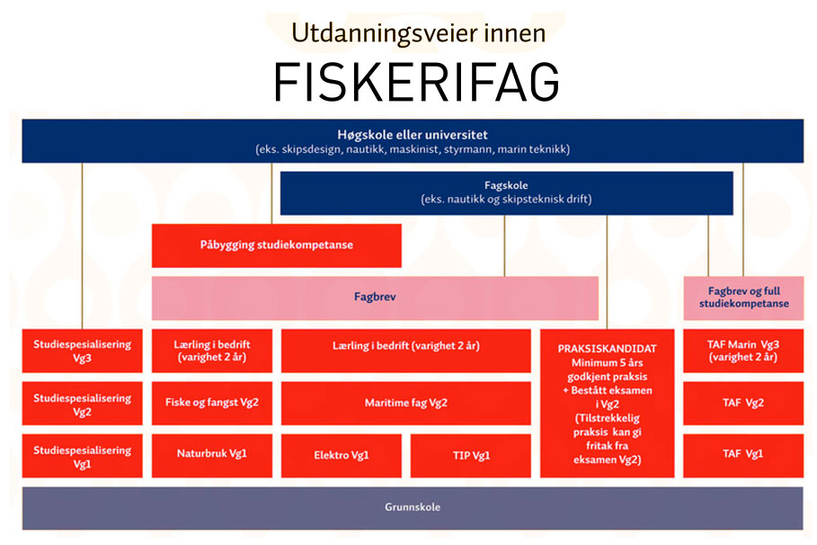 plansje-fiskerifag-utdanning